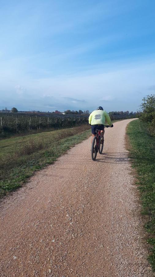 Sulla Ciclabile Apartment Lungo Il Fiume Adige Zevio Luaran gambar