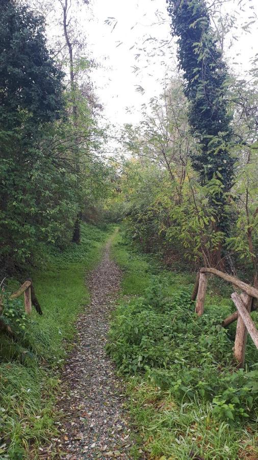 Sulla Ciclabile Apartment Lungo Il Fiume Adige Zevio Luaran gambar