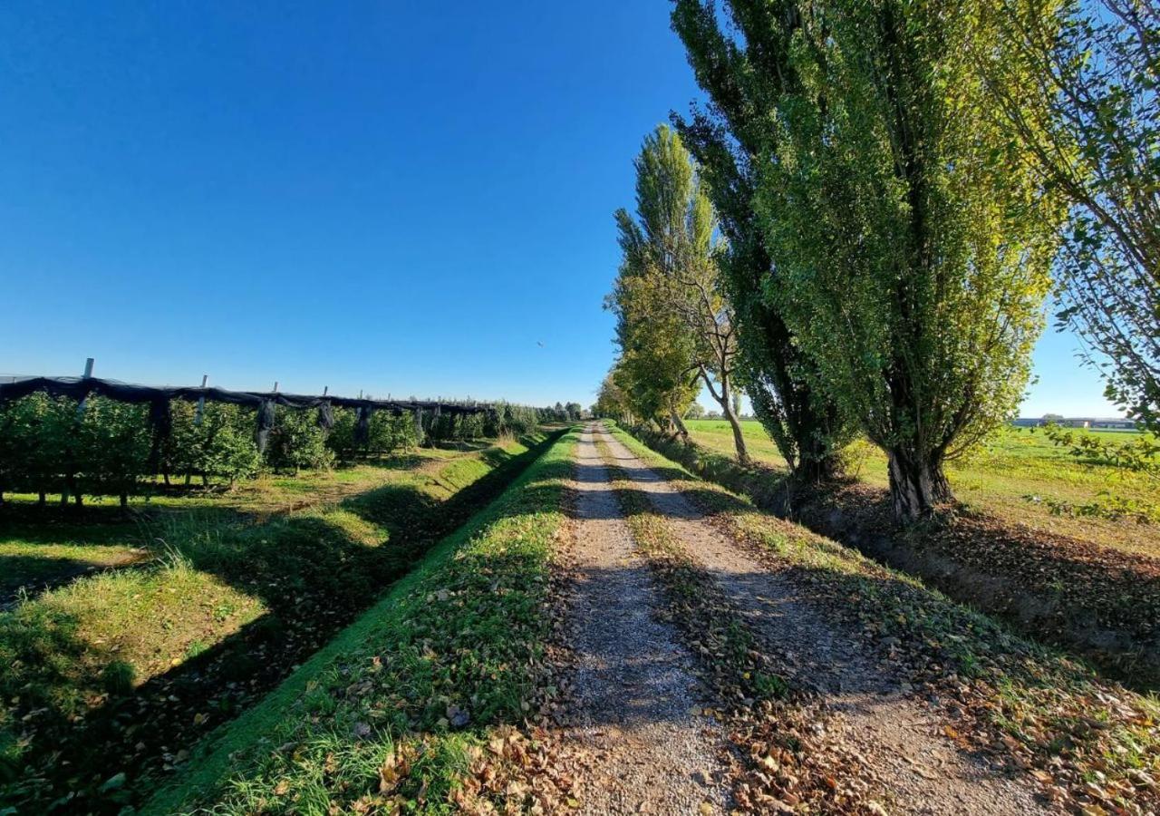 Sulla Ciclabile Apartment Lungo Il Fiume Adige Zevio Luaran gambar