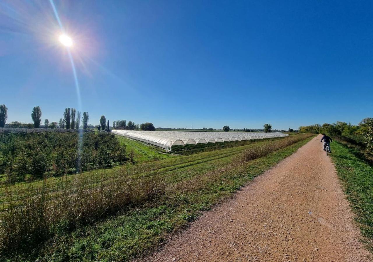 Sulla Ciclabile Apartment Lungo Il Fiume Adige Zevio Luaran gambar