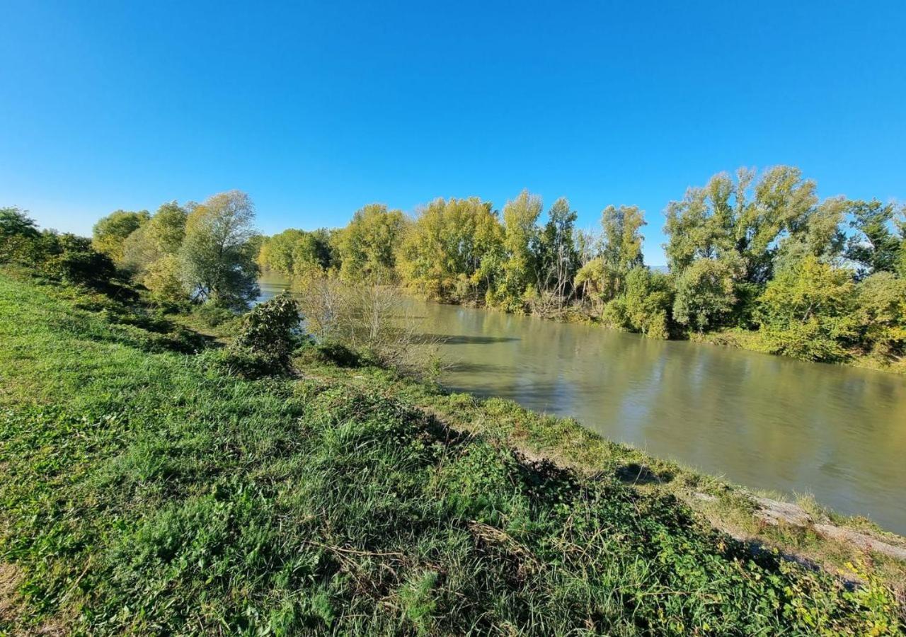 Sulla Ciclabile Apartment Lungo Il Fiume Adige Zevio Luaran gambar
